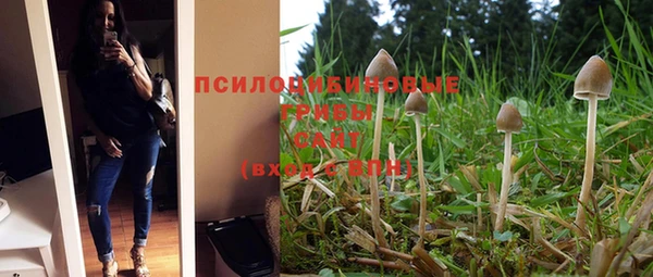 крисы Арсеньев