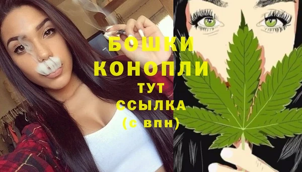 крисы Арсеньев