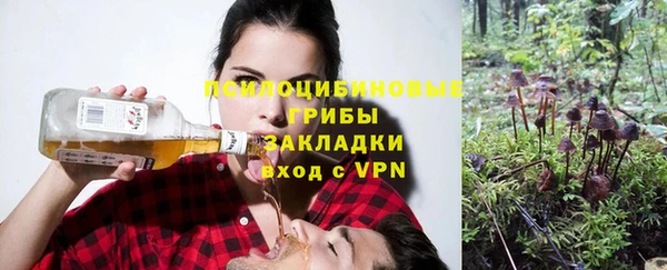 крисы Арсеньев